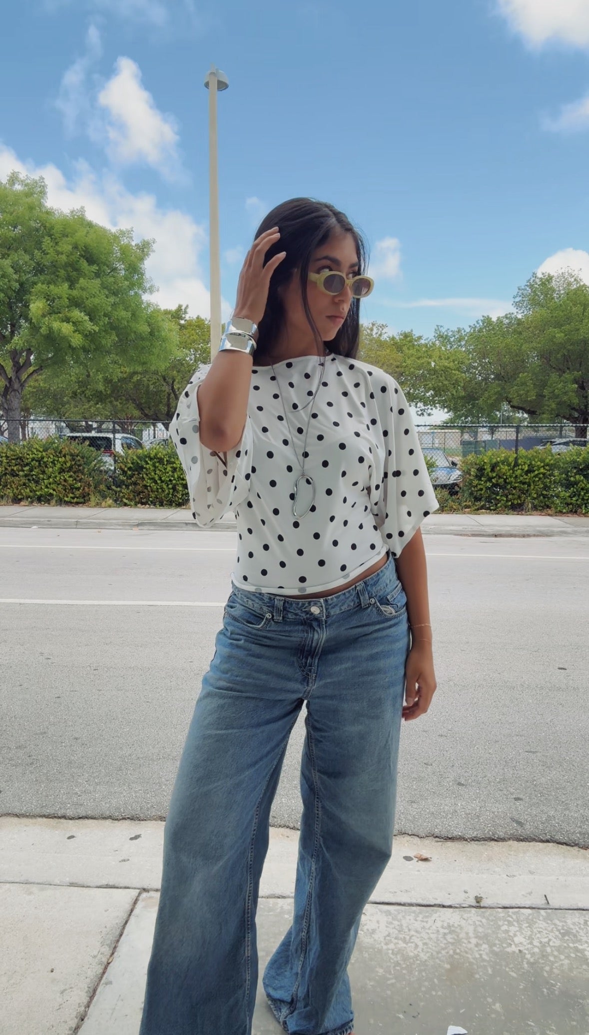 Wide Sleeve Top