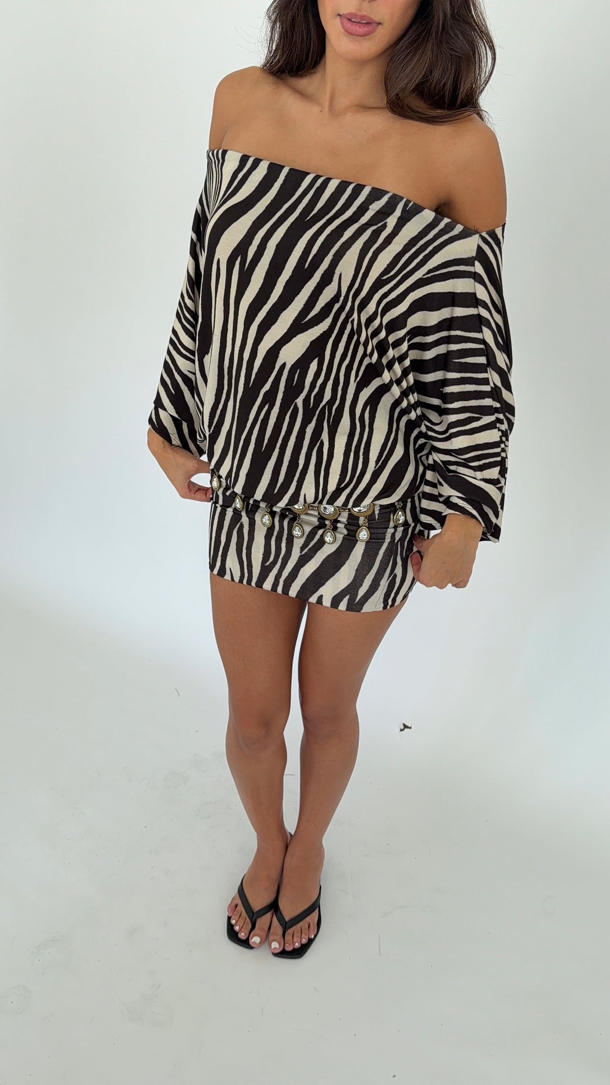 Anna Dress in Zebra