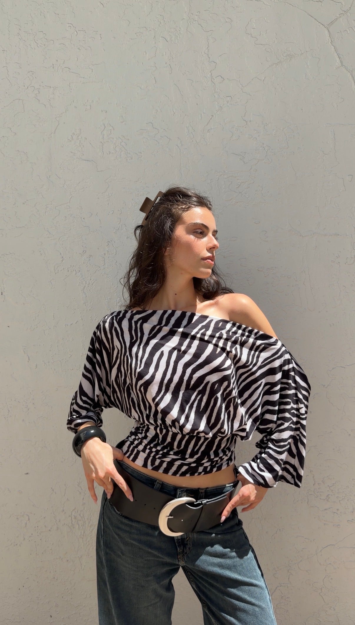 Anna Zebra Long Sleeve Top