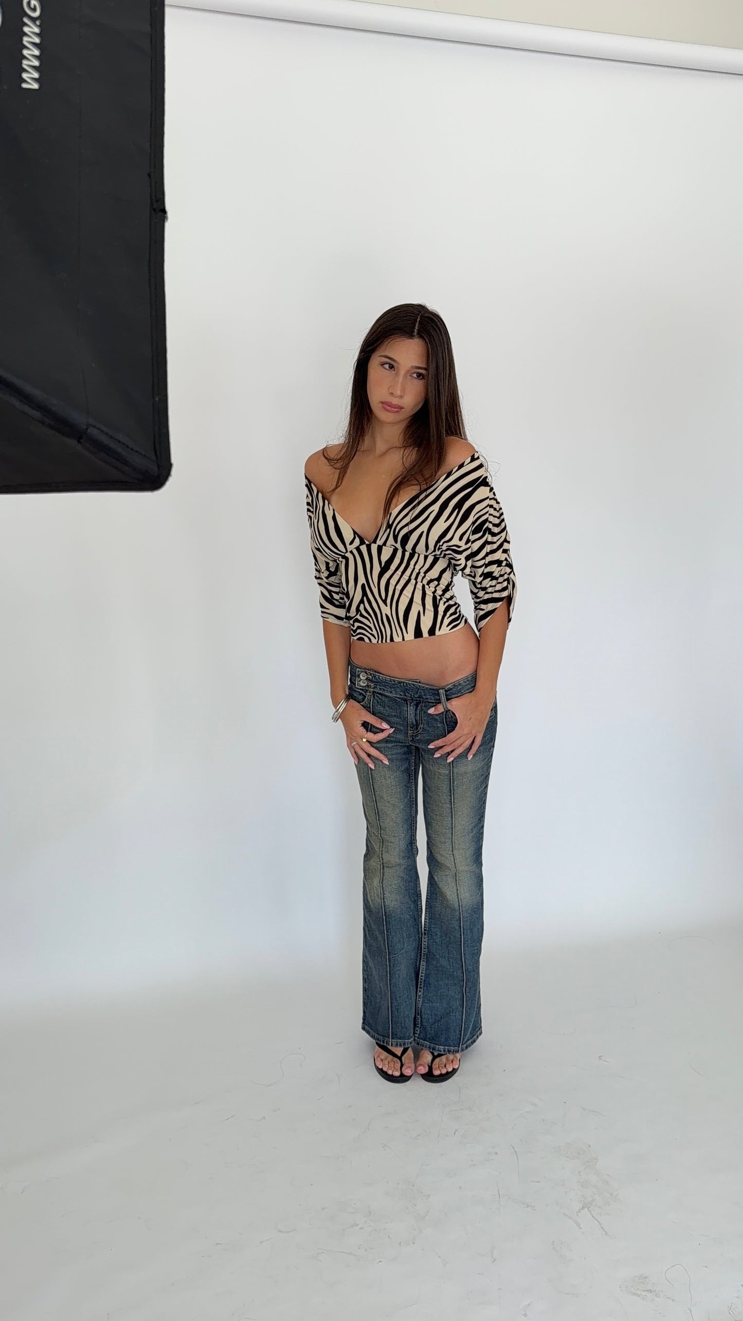 The Zebra Plunge